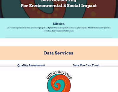 Octopus Pond Consulting Logo & Website