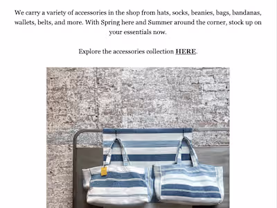 Omnisend Email Marketing Campaign for Blue in Green SOHO