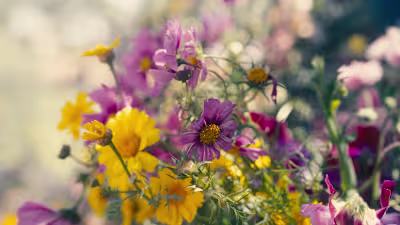 Magpie Floral | Brand Story