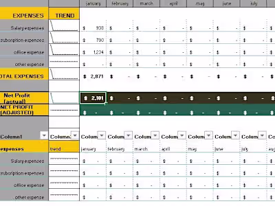 Custom financial spreadsheet