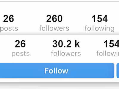 Instagram Followers