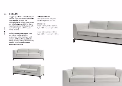 Crafting Desire:  Product Copywriting Showcase