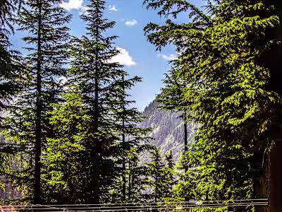 Untitled Export - Google Drive