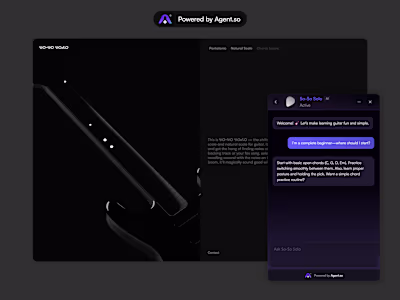 Custom AI Agent for So-So Solo