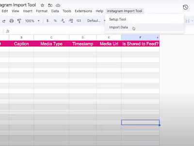 Instagram Post Data Import Tool for Google Sheets Automation