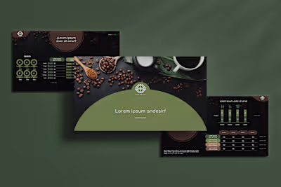 Professional presentation for analytics report