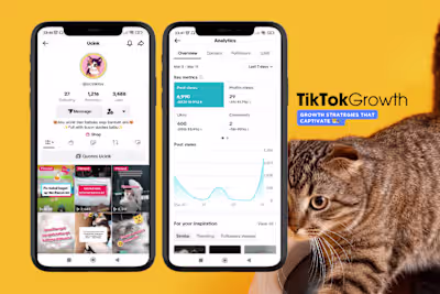 TikTok Purr-fection Rocketstar🚀😻