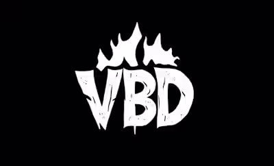 VBD Professional Business Logo