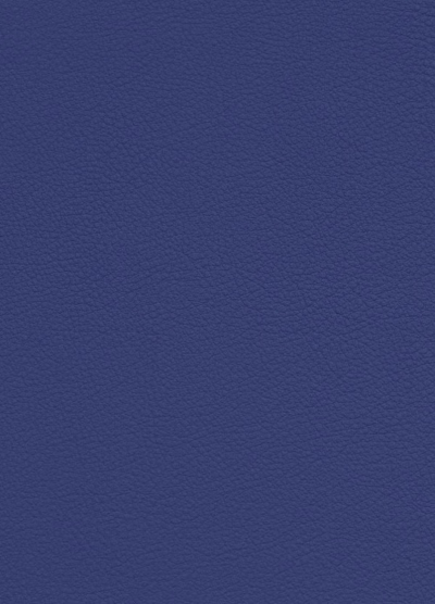 We Had Everything With Us