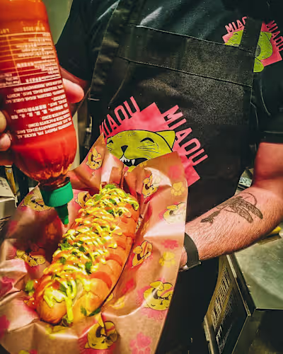 Miaou Miaou Logo design and application