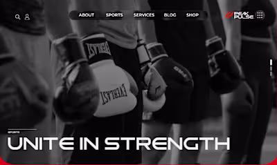 Peak Pulse Martial Arts Academy™ I Website Design:: Behance