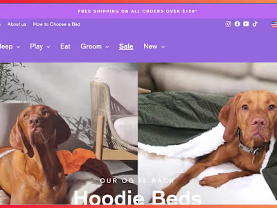 I build a Shopify store design 