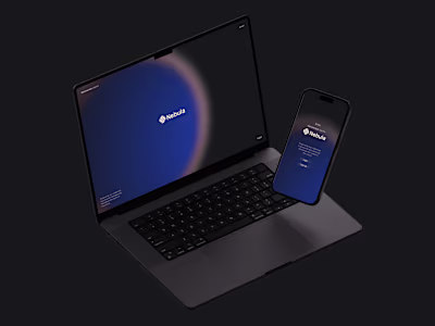 Nebula: Next-generation SaaS dashboard for fraud prevention. 