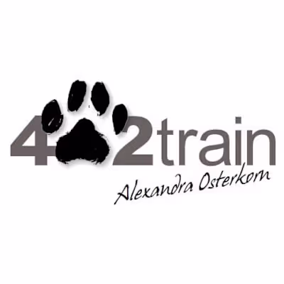 Custom WordPress Website for a Dog Training Institute