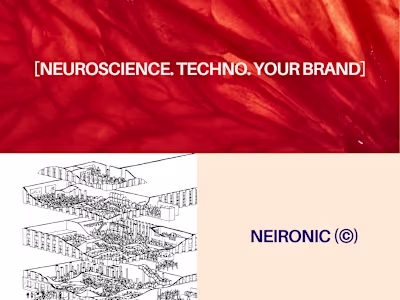 LinkedIn Personal Brand Identity Development