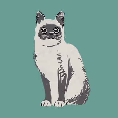 Illustrative pet portraits