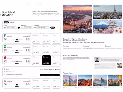 Airlex ( flight ticket booking software )