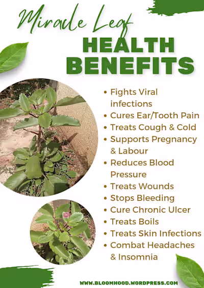 What do you know about this plant
