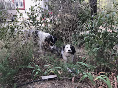 The Playdate Part 2