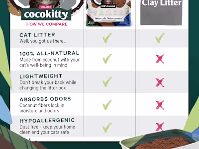 Moved Woocommerce website to Shopify 