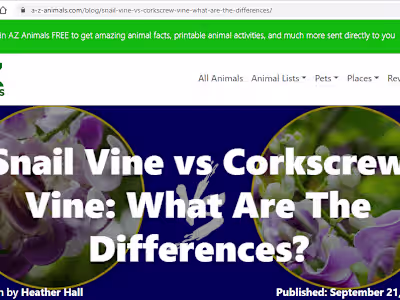 Snail Vine vs Corkscrew Vine: What Are The Differences?
