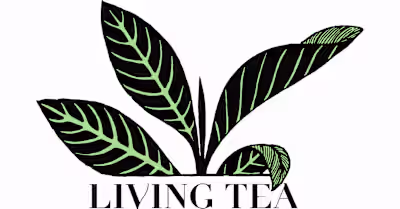 Rare and Living Teas, Fine Pots and Wares, A Space to Be Brewed