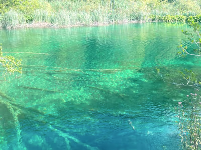 Copy/content writer for blogs 