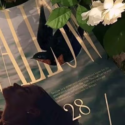 Poster process creating “Swallow”