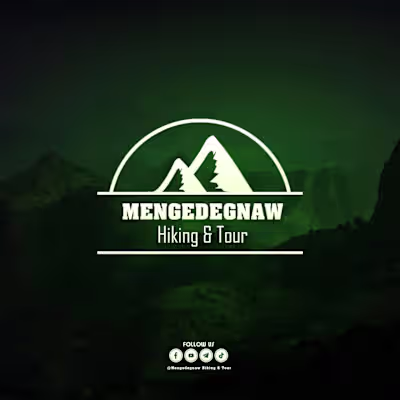 Logo and Brand Identity Design