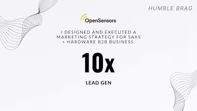 Designed and executed a Marketing Strategy for B2B SaaS 