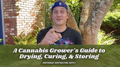 YouTube + Social Media Videos for Cannabis Company