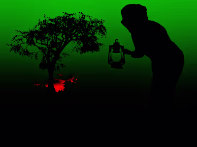 Experiment with different cropping and framing options
