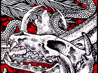 Illustration - Cantakeraous Carcass