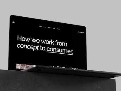 Paragon Pictures - Webflow Development