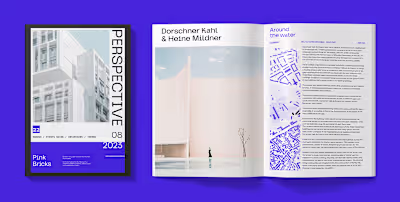 PERSPECTIVE - Editorial Project