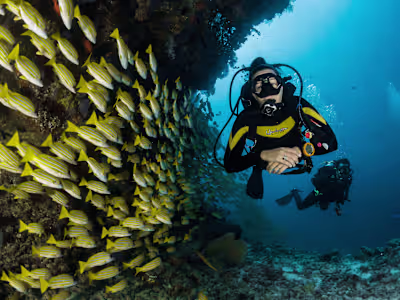 Breathe | The smarter scuba dive log