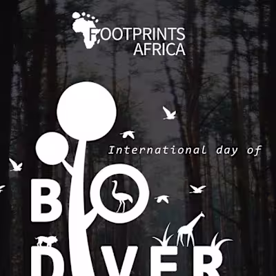 Footprints Africa 🌱 on Instagram: “At Footprints Africa we env…