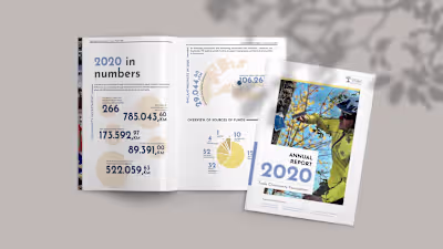 ANNUAL REPORT - DTP and publication
