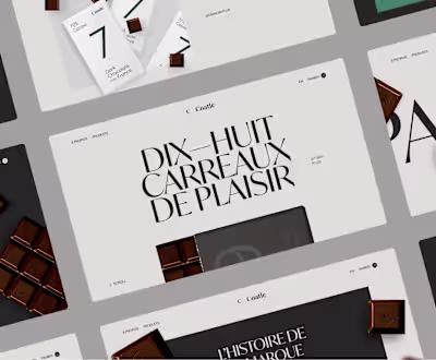 Coatle Website design concept