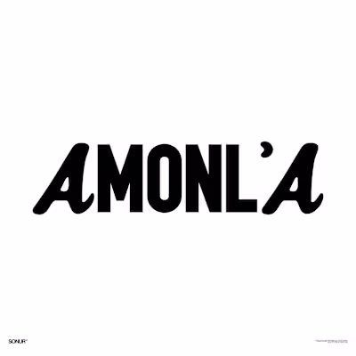 The 'AMONL'A' Concept
