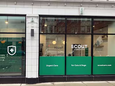 Scout Veterinary Care Welcome Email Flow