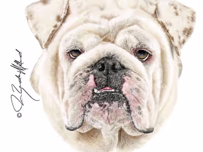 Portrait Illustrations - Joan Zander Millard