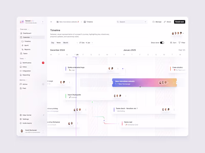CRM - Project timeline