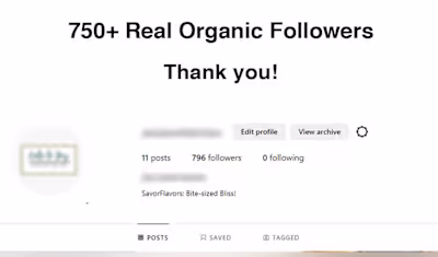 Instagram Organic Followers Growth