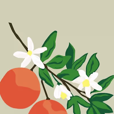 "L'Orange" Illustration and Pattern