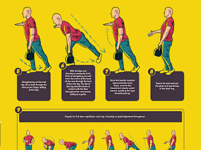 Infographics - Illustration