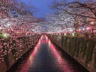 Cultural References in Anime:A Window
into Japan's Rich Heritage