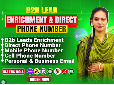 B2B Lead Enrichment and Verification Project