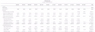 Profit & Loss Statement