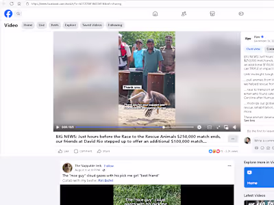 IFAW 2024 Fundraising Promo (Vertical Disaster Relief Version)